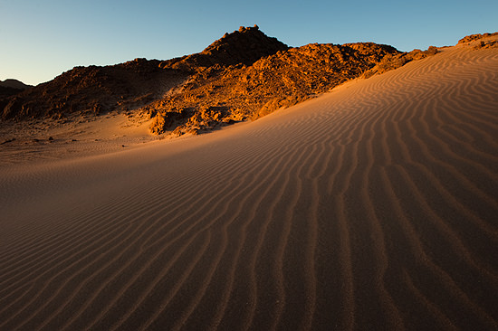 Sinai ørkenen