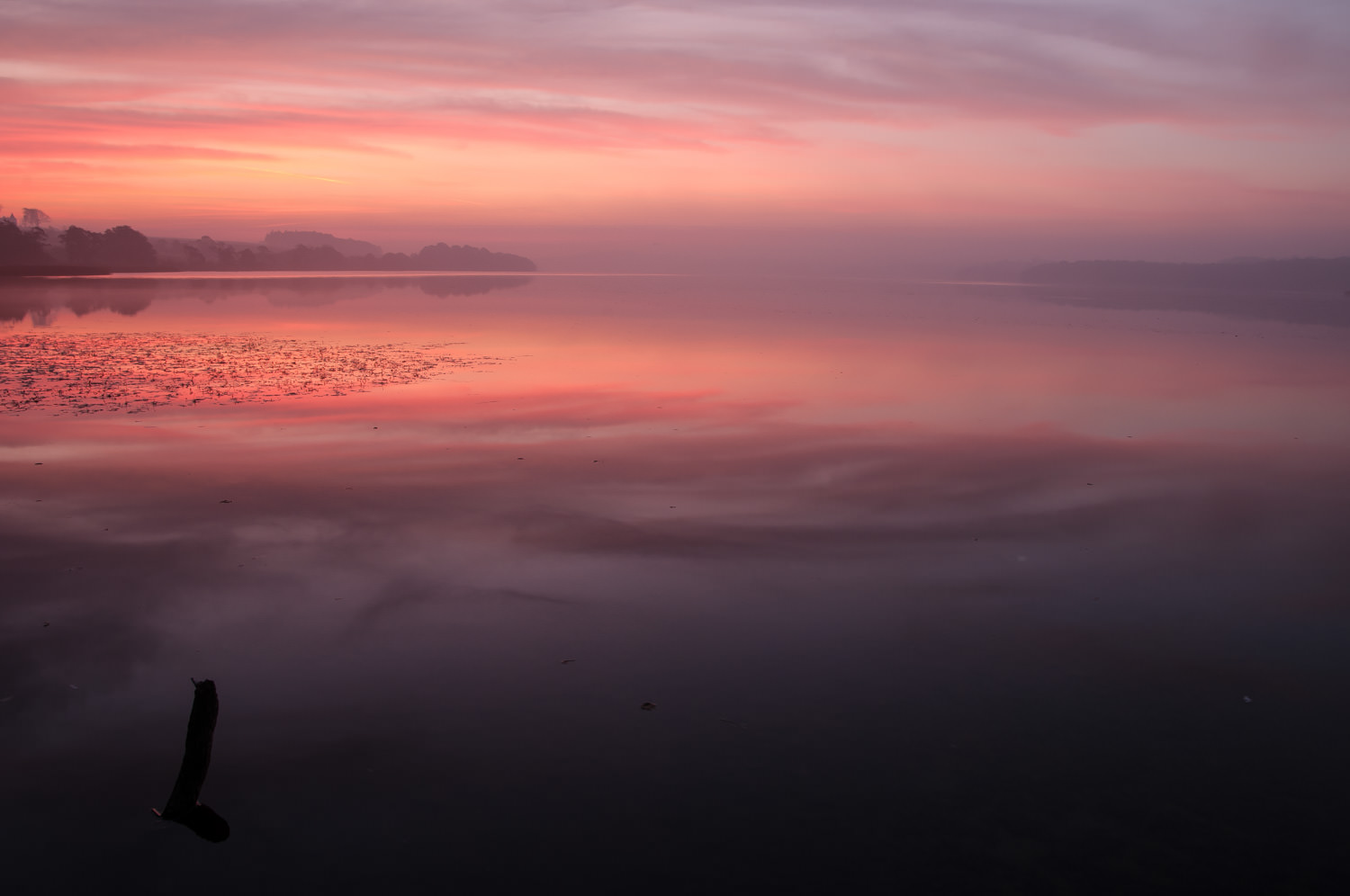Et klassisk landskabsbillede. Smuk solopgang, langsom lukker og kameraet på stativ. Fussingø ved Randers. Grej: Nikon D300s + Tamron 17-35 f/2.8-4. Indstillinger: 2 sek., f/16, ISO-100, 17mm.